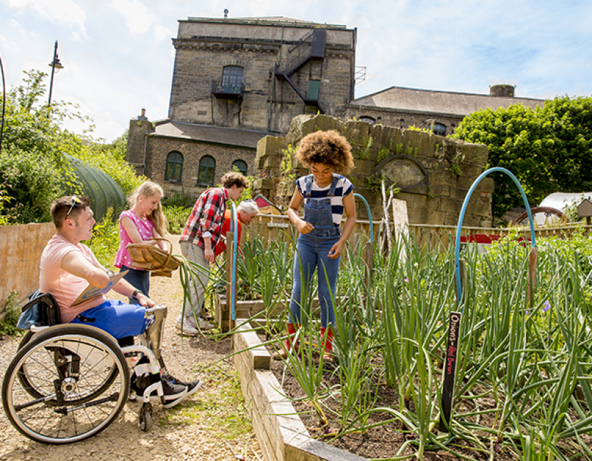 A group of people help out in the community garden at the local farm.