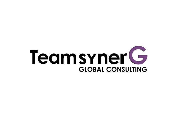 teamsynerg logo