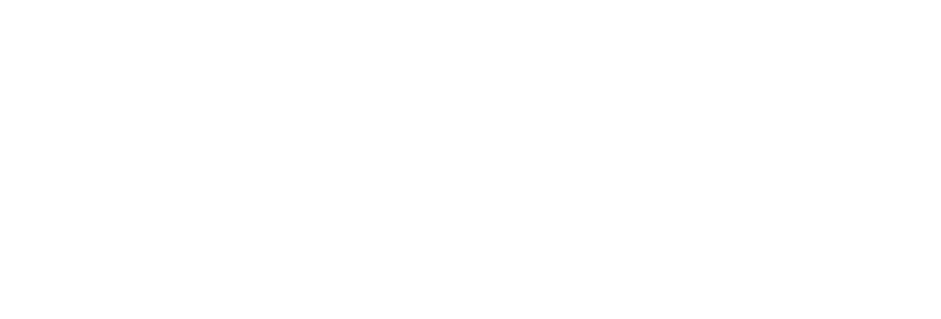 BIOPTRICS_logo_White | TeamsynerG Global Consulting