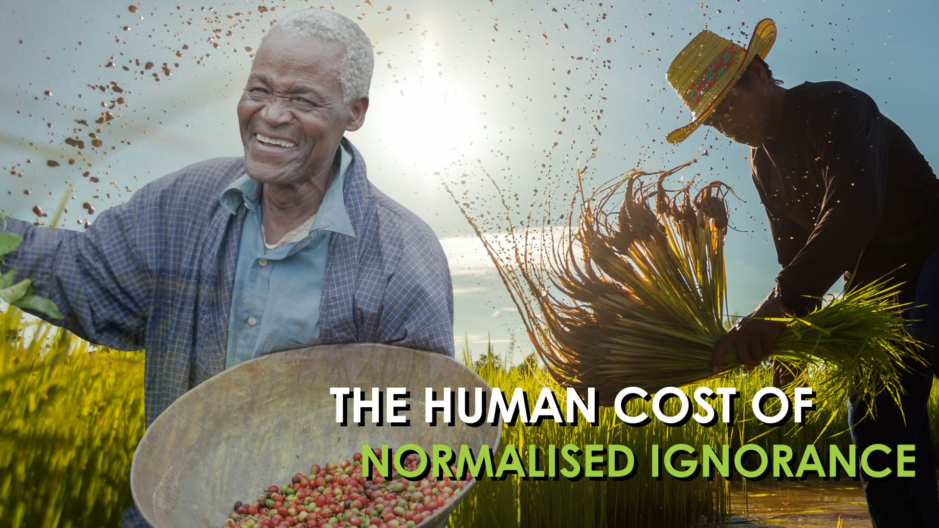 TeamsynerG-the-human-cost-of-normalized-ignorance