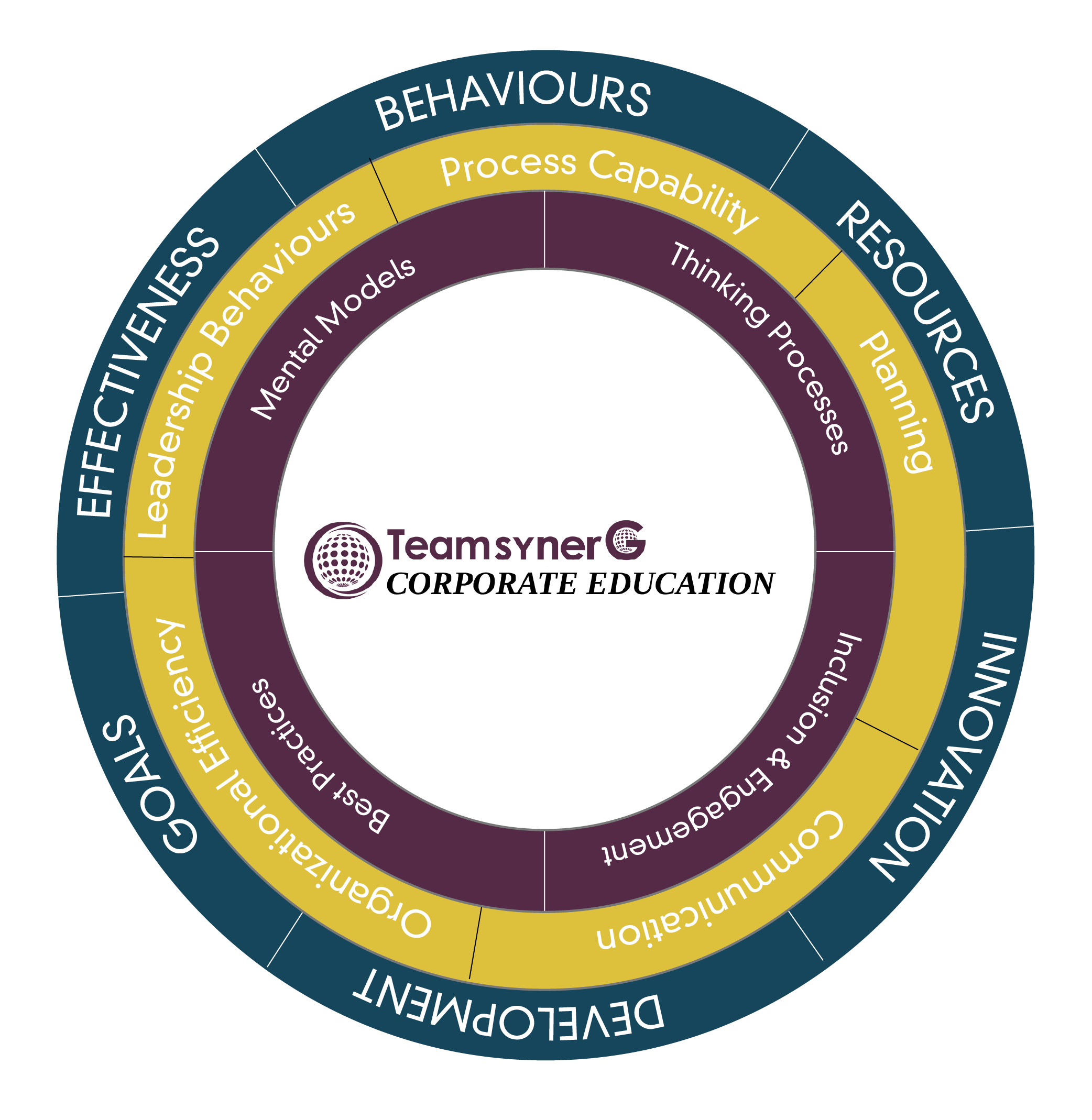 Concentric ring infographic showing Leadership Behaviours, Process Capability, Thinking Processes, Mental Models, and governance elements; center reads TeamsynerG Corporate Education.